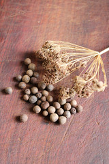 dill, pepper and leaves of laurel on a wooden cutting board
