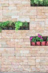 Potted plant on stone wall