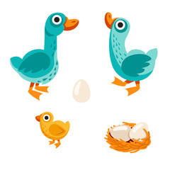 farm birds family cartoon flat illustration. goose, duck and egg. Vector illustration isolated on white background