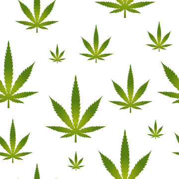 Seamless pattern marijuana leaf isolated on white background. Medical cannabis green - vector flat illustration