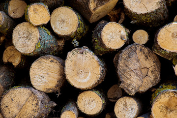 Pile of wood logs ready for winter - landscape exterior