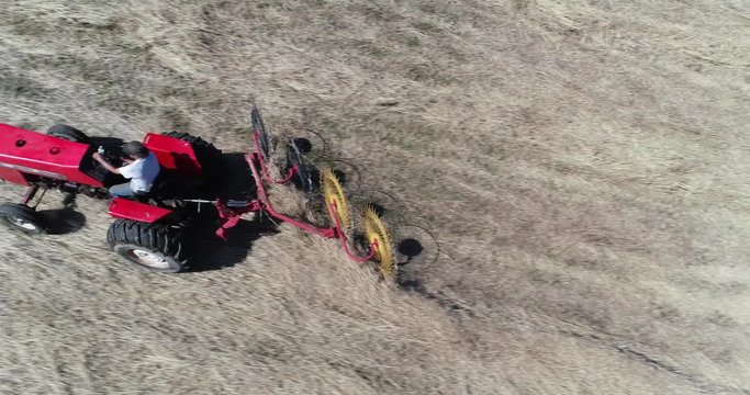 Closeup aerial view looking straight down on tractor with star wheel rake raking switchgrass in a field.