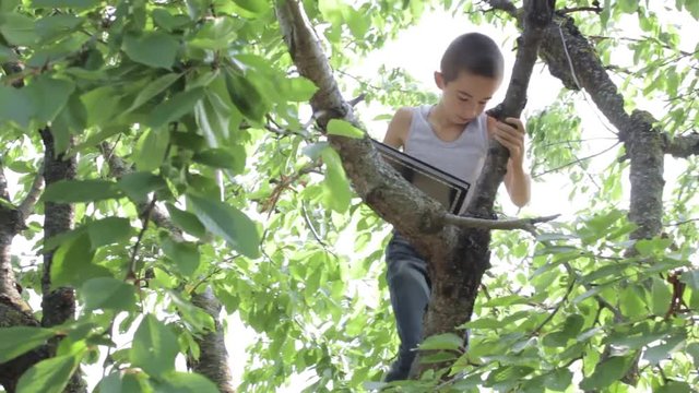 teenager walks away from the city in nature ( reading, drawing, climbing a tree )