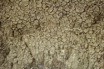 Cracked earth in the desert during a drought