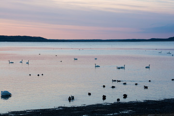 静かな湖の夕暮れ