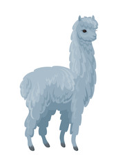 Vector image of cute alpaca in cartoon style. Colorful illustration isolated on a white background