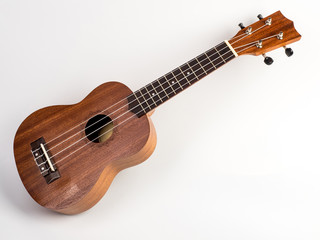 Fototapeta na wymiar The brown ukulele on the white background