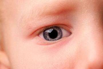Naklejka premium Beautiful blue eye of baby boy . macro shot.