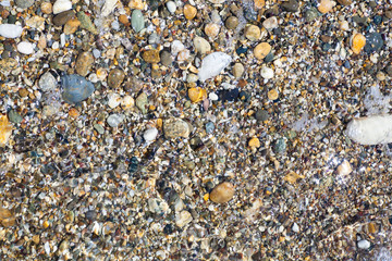 Sea shells, corals, pebble stones for background