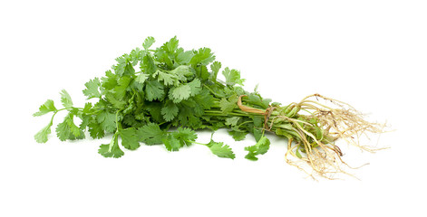 Green coriander leaves isolated on white background. This has clipping path.