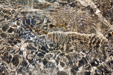 Sea shells, corals, pebble stones for background