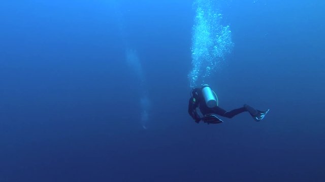 Male scuba diver  swims in the blue water, Indian Ocean, Fuvahmulah island, Maldives
