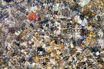 Sea shells, corals, pebble stones for background