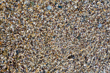 Sea shells, corals, pebble stones for background