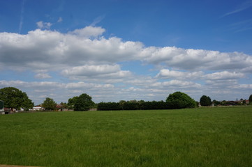A Meadow during the day.