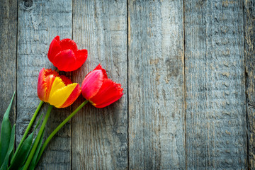 Fototapeta na wymiar Colorful tulips on wooden table. Top view with copy space for text