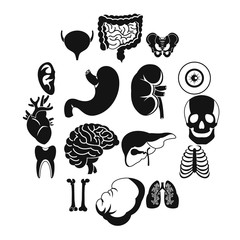 Human organs icons set, simple style