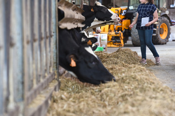 jeune ferme agriculture education enseignement vache