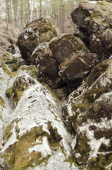 green moss on the rocks