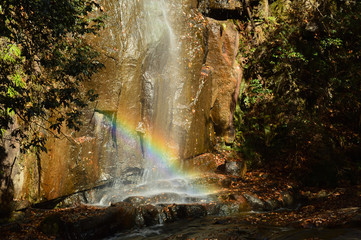 Fototapeta na wymiar Splash of waterfall makes rainbow