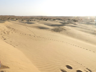 Desert Jaisalmer