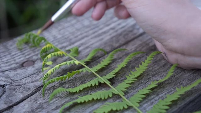 color fern and a hand