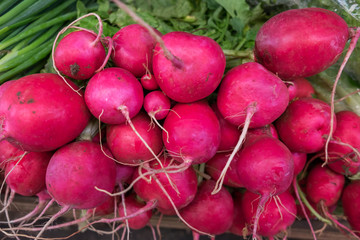 Red radish vegetables sold on city farmers market