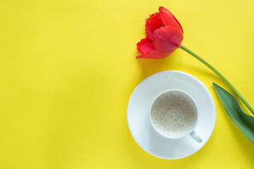 Red flowers of tulips on bright yellow background. Copy space for text. Cup of coffee