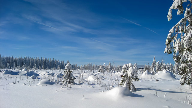 Traumhafte Winterlandschaft und Loipen im Erzgebirge. Langlauf im Schnee.