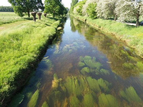 der Fluss Niers an einem Fr&uuml;hlingstag bei Grefrath Oedt