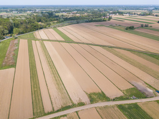 aerial view of green geometric agricultural fields