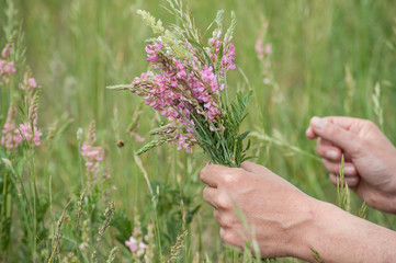 Fototapeta na wymiar closeup of savage flowers bouquet in hand of man in a meadow