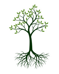 Green Tree with Leaves and Roots. Vector Illustration.