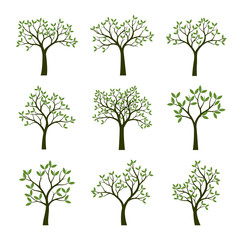 Set of green Trees with Leaves. Vector Illustration.