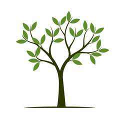 Obraz premium Green Spring Tree. Vector Illustration.