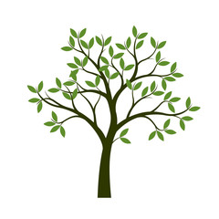 Green Spring Tree. Vector Illustration.