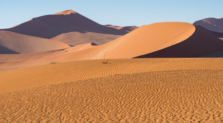 Dünen der Namib, Deadvlei, Sesriem, Namibia