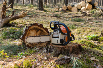 Chainsaw in the Sunny forest