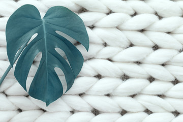 Monstera leaf on merino plaid texture