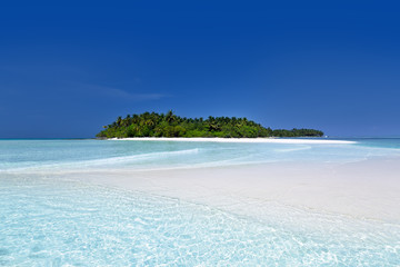 Wild Maldives island with sandy beach © photopixel