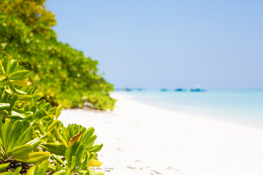 Maldives island, perfect getaway