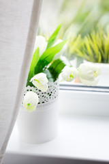 Bouquet of tulips on windowsill