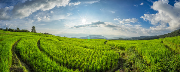 Beautiful green rice terraces in Doi Inthanon National Park, Thailand.