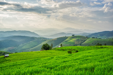 Obraz premium Most beautiful rice terraces in Thailand, of the Doi Inthanon National Park in Chiang Mai, Thailand.