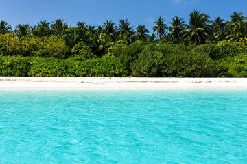 Fototapeta na wymiar Sea with coconut palms island