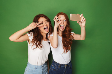 Two cheerful young redhead girls taking a selfie