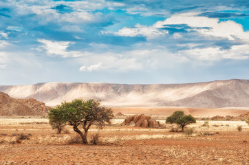 Naklejka premium idyllische Landschaft und Lichtspiel in den Tirasbergen, Berg Rooirand, Karas, Namibia