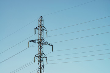 Posts with wires of high voltage on background of blue sky in sunlight. Background image of many wires in sky with copy space. Group of power lines.