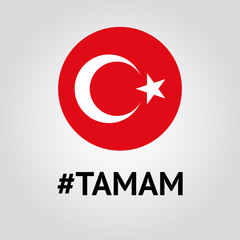 Vote, election poster, Turkey politics vector sign