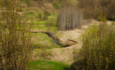 spring landscape with a stream